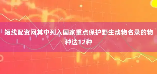 短线配资网其中列入国家重点保护野生动物名录的物种达12种